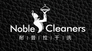 耐普拉干洗——標志設計 耐普拉干洗——標志設計